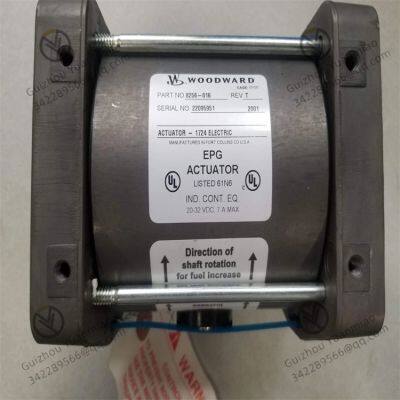 WOODWARD   8256-016    Electric Speed Control Module