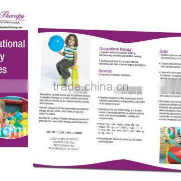 Cheap & promotional catalogue brochure design