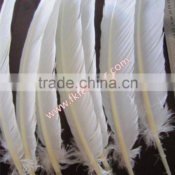 Wholesale Feather Products Natural Turkey Feather For Party Mask And Wedding Decorations