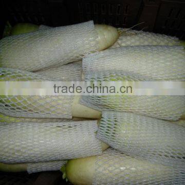 Chinese fresh radish manufacturer