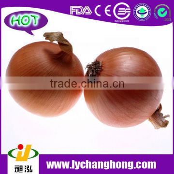 High Quality 2014 New Fresh Red Onion