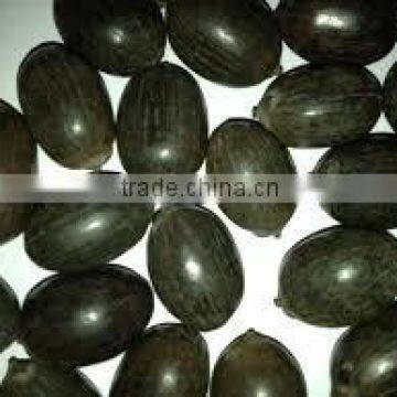 HIGH QUALITY DRIED BLACK LOTUS SEED FOR SALE