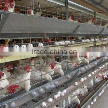 poultry farming equipment meat broiler cage for steel chicken house