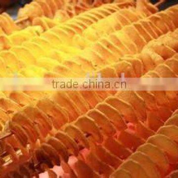 automatic potato chips plant/machine