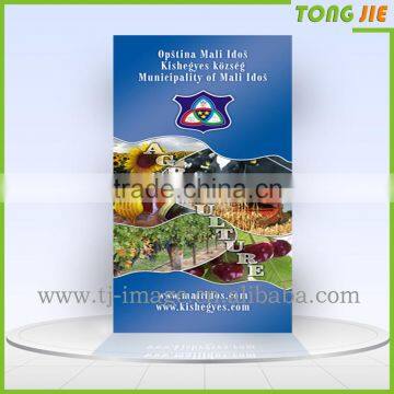 Retractable Roll Display Pull up Banner,Display stand Pull up Banner