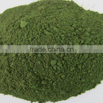 private label Spirulina and Chlorella Powder from GMP manufacturer exporter