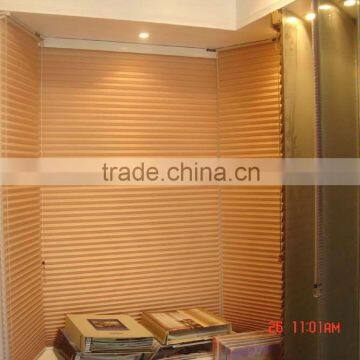 Motorized Pleated Blinds