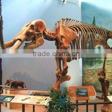 Newest best quality made in China dinosaur replica for sale