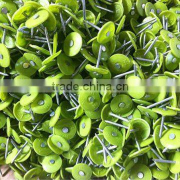 supply cheap nails with plastic cap for roofing felt