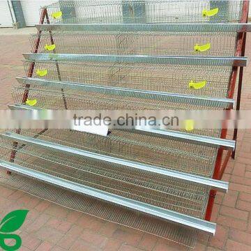 A Type Manufacture Cheap Advanced Quail Cages for 20000 Quails photo-3