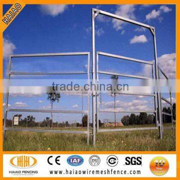 Hot Dip Galvanized top selling cattle yard