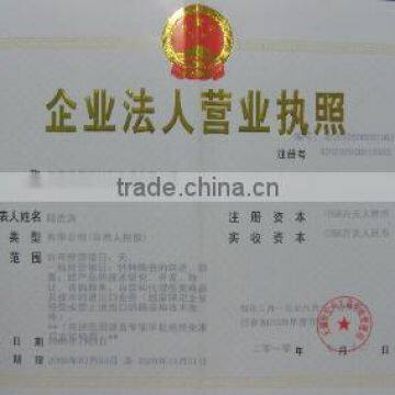 Business License for Enterprise's Legal Person