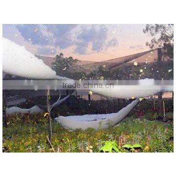 Anti Hail Net for Apple Tree photo-4