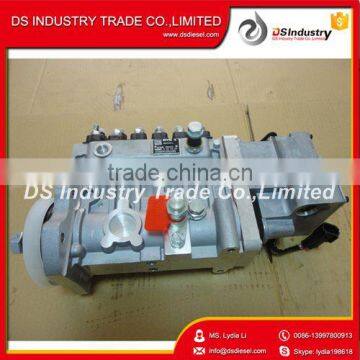 Fuel Injection Pump 4941011 for Cumins 6CT Diesel Engine photo-6
