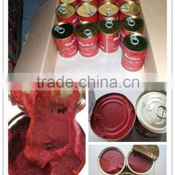 2014 New Crop Good Taste Canned Tomato Paste-70g