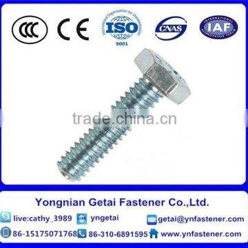 Grade 8.8 Hot Dip Galvanized Coating Hex Bolt and Nut and M12 Hex Bolts photo-4