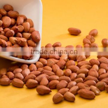 Bold reddish Peanuts for sales