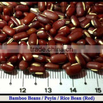 Peyin Beans [ Red ]