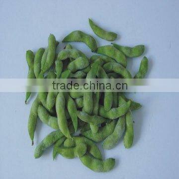 IQF Fresh Soybeans photo-3