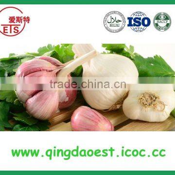 fresh peeled nomal garlic in carton