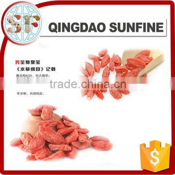 The new crop dried China goji in high quality