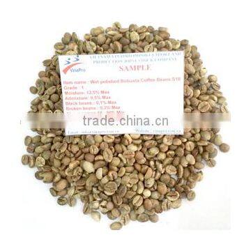 Wet polished robusta green coffee beans S16