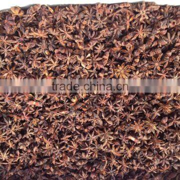 SPRING STAR ANISEED