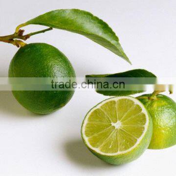 100 % NATURAL LIME OIL OEM / ODM / GMP / ISO Approved ( Citrus Aurantifolia )