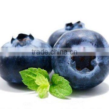 Herbal Blue Berry coffee drop shipping