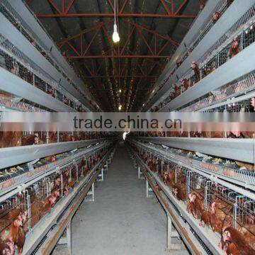 chicken egg layer cages for chicke farm