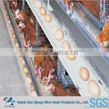 Galvanized Welded Wire Chicken Cages photo-3