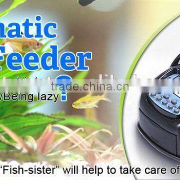 Carp Fishing Feeder FF-03 Fishing Cage Feeder In China photo-6