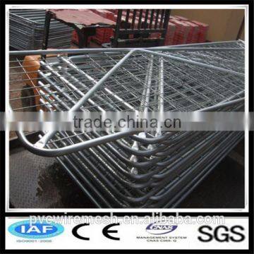 Galvanized iron pipe fencing for horses