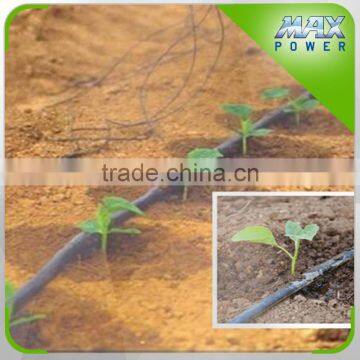 Drip Hose for Hungary Agricultural Land Irrigation photo-3