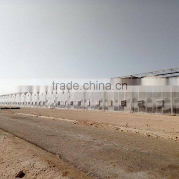 Middle East Greenhouse photo-2