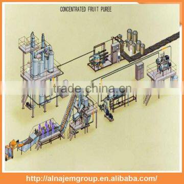 Hot Hot Full Automatic Industrial Vegetable Cutting Machine Vegetable Tomato Carrots Machine Production Line photo-5