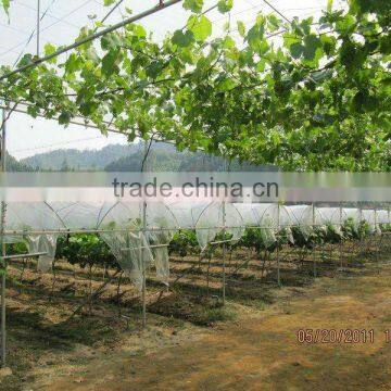 Transparent Cover Film with anti-uv