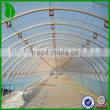 Agriculture greenhouse palstic mulch film