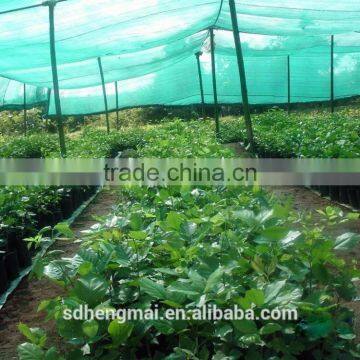 Agricultural shade net, plastic net, green shade net,green hourse,China manufacture HDPE shade net, plastic net, pe net