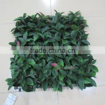 SJ457871 PE Material Artificial Boxwood Grass With UV Resistance photo-3