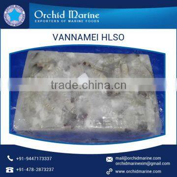 Good Quality Vannamei HLSO Shrimps Exporter