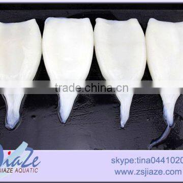 Squid Tube Giant Squid photo-2