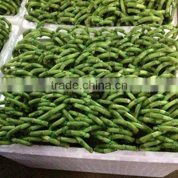 Lucky Bamboo ( Dracaena Sanderiana) Heart Arrangement photo-4