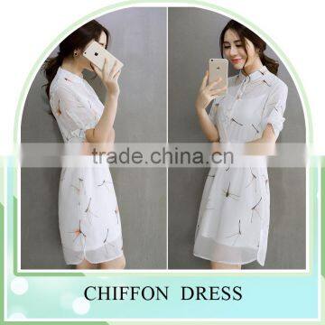 Direct Factory Summer Women Long Dress Chiffon New Style Women Clothing Dress photo-2