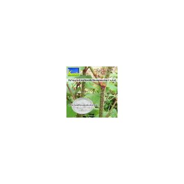 Polygonum Cuspidatum Extract(Resveratrol50%,98%)