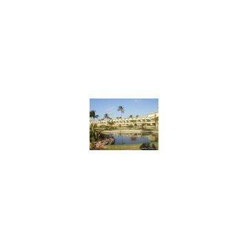 Hotel and Resorts