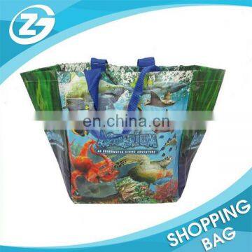 Sea World Promotional Non Woven Bag for Tourist