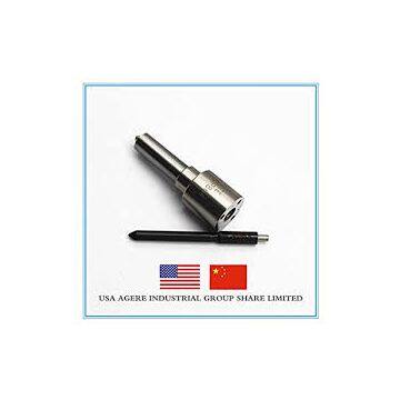 H130s25c552 Delphi Common Rail Nozzle 2 Hole Black