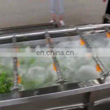 Jujube celery Spinach Commercial Bubble Fruit vegetable washing Machine