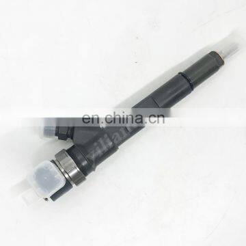 Hot Sale Common Rail Fuel Injector 0445110059